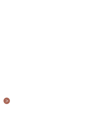 お集まりやおもてなしに